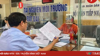Η κυβέρνηση έχει ορίσει τέσσερα επίπεδα προληπτικής παροχής δημόσιων υπηρεσιών στο διαδίκτυο.