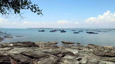 দা নাং: তাম হাই দ্বীপ কমিউনে শান্তিপূর্ণ জীবন