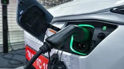 La politica indiana di transizione verso i veicoli elettrici