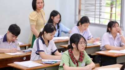 NÓNG: TPHCM công bố điểm chuẩn lớp 10 công lập năm 2026
