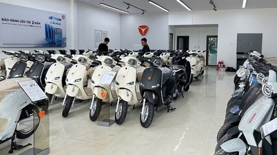 Yadea fördert den grünen Wandel und unterstützt seine Nutzer in Hanoi und Ho-Chi-Minh-Stadt nachdrücklich.