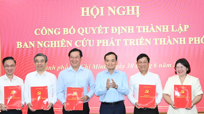 Ho Chi Minh Cityn tutkimus- ja kehitysneuvoston perustamispäätöksen julkistaminen.
