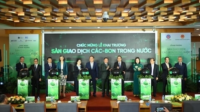 BIDV phối hợp vận hành khai trương hệ thống giao dịch carbon