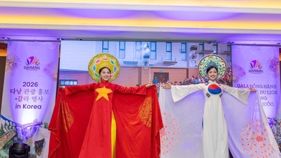 Da Nang lança uma série de atividades de promoção e marketing turístico na Coreia do Sul.