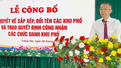 El distrito de Trang Dai anuncia la reorganización y reestructuración de los barrios.