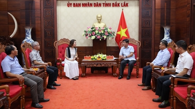 Phó Chủ tịch UBND tỉnh Đắk Lắk Nguyễn Thiên Văn làm việc với Trung tâm Nông nghiệp Nhiệt đới Quốc tế