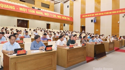 Tornar o Vietname um destino atrativo para investimento estrangeiro de alta qualidade.
