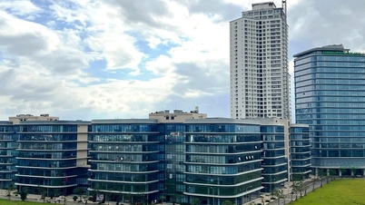 Poučení ze Singapuru a Dubaje jsou klíčová pro rozvoj Da Nangu v mezinárodní finanční centrum.