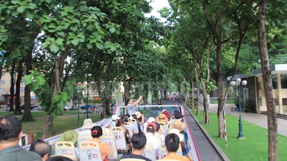 AGRICULTURAL TOURISM IN HO CHI MINH CITY: Diverse tourism products and services with special offers and promotions for the National Day holiday on September 2nd.