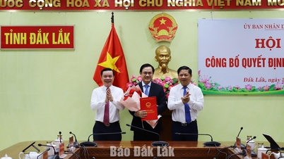 Domnul Ho Quang De a fost numit director al Departamentului de Construcții.