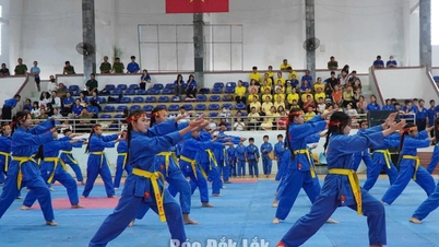 800 de sportivi au participat la Festivalul Sportiv din districtul Tuy Hoa.