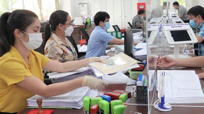 Novas regulamentações sobre cargos e níveis profissionais para servidores públicos entrarão em vigor a partir de 1º de julho.