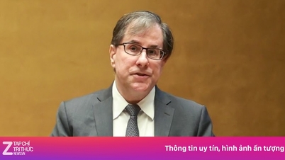 VinaCapital, Dragon Capital och Mitsubishi ger förslag på hur Vietnam kan attrahera utländska investeringar.