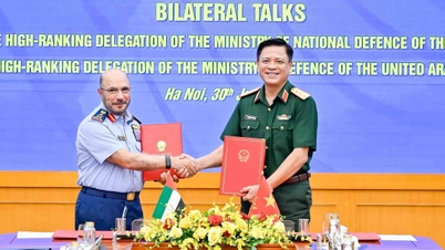 Förderung der Zusammenarbeit zwischen Vietnam und den VAE im Verteidigungssektor.