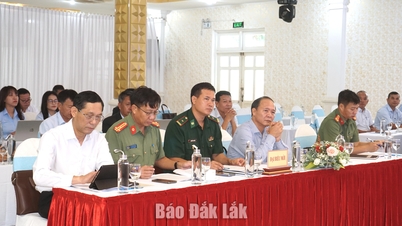 Công ty Cổ phần Cao su Đắk Lắk phấn đấu tổng doanh thu năm 2026 đạt hơn 814 tỷ đồng