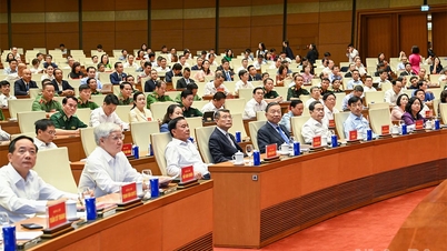 Persidangan dalam talian kebangsaan untuk menyebarkan Resolusi Politburo mengenai pembangunan ekonomi dengan pelaburan asing.