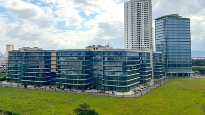 Da Nang célja, hogy a vezető globális technológiai vállalatok „célpontjává” váljon.