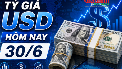 USD-växelkursen idag, 30 juni: Den amerikanska dollarn stiger kraftigt på den fria marknaden.