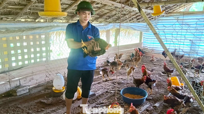 ຄວາມມຸ່ງຫວັງທີ່ຈະຮັ່ງມີຈາກການກະສິກຳ: ເລຂາທິການສະຫະພັນຊາວໜຸ່ມຂອງບ້ານພູສູງ.
