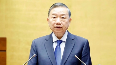 Umwandlung internationaler Ressourcen in Fähigkeiten für die vietnamesische Wirtschaft (*)