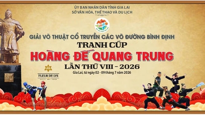 Más de 700 atletas participarán en el Torneo de Artes Marciales Tradicionales de Binh Dinh.