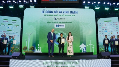 Top 10 Green Vietnam ESG 2026: Anerkennung für NSNs nachhaltigen Entwicklungsweg