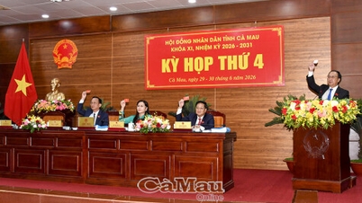 Douze résolutions ont été adoptées lors de la 4e session du Conseil populaire provincial de Ca Mau.