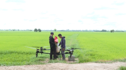 Promuovere lo sviluppo agricolo