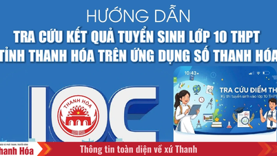 Arahan untuk menyemak keputusan peperiksaan kemasukan sekolah menengah darjah 10 di wilayah Thanh Hoa pada aplikasi digital Thanh Hoa.