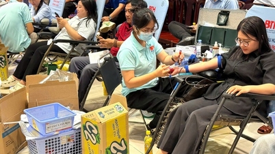 CITENCO spreads the spirit of voluntary blood donation.