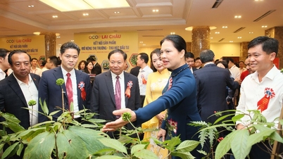Sorotan Konferensi Promosi Investasi Provinsi Lai Chau 2026: Membangkitkan Potensi, Membuka Peluang