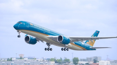 需要の急増を受け、ベトナム航空は予定より早くコロンボへのフライトを開始する。