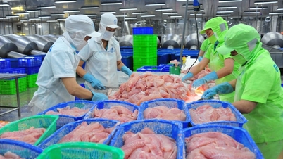 ڈونگ تھاپ نے ترقی کو تیز کیا، برآمدات تقریباً 4.9 بلین امریکی ڈالر تک پہنچ گئیں۔