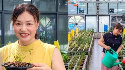 Usahawan wanita membantu seluruh kampung mengubah kehidupan mereka hasil daripada sekuntum bunga istimewa.