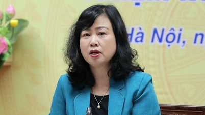 وزیر صحت: Viet Duc ہسپتال کی Ninh Binh برانچ 10 جولائی کو مریض وصول کرے گی۔