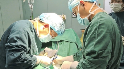 Ninh Binh میں ایک بزرگ شخص تیز بخار، متلی اور epigastric درد کی وجہ سے تشویشناک حالت میں ہے۔