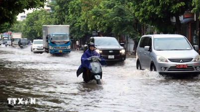 Las fuertes lluvias provocaron inundaciones y daños en Hai Phong y Tuyen Quang.