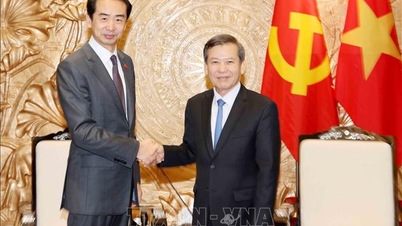 Hoofd van de Centrale Commissie voor Binnenlandse Zaken Le Minh Tri ontvangt de Chinese ambassadeur He Wei.