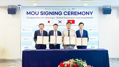 Tan Long bekerjasama dengan Jepun dan Korea Selatan untuk menternak ikan tenggiri Jepun di darat.