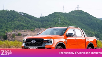 Enam bulan 'kekacauan' bagi truk pikap di Vietnam dan akhir yang seperti mimpi.