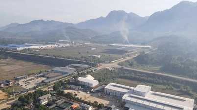 Thai Nguyen: Bisnis tersebut memiliki lahan seluas lebih dari 9.300m2 yang dicabut hak kepemilikannya karena tidak digunakan.