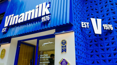 As ações da Vinamilk sofreram uma forte pressão vendedora inesperada, caindo para a mínima em 7 meses.