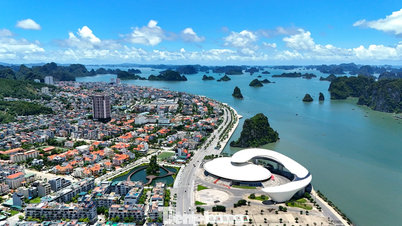 Quang Ninh opent de deur naar ontwikkeling met een reeks strategische plannen.