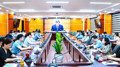 Đảng bộ Cục Đổi mới sáng tạo, Chuyển đổi xanh và Khuyến công học tập, quán triệt Nghị quyết số 10-NQ/TW