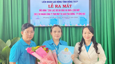 Dong Thap: Estabelecendo um modelo de "Clube para gestantes e mães com filhos pequenos"