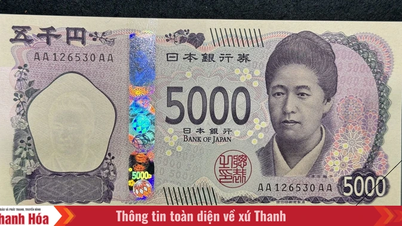 Le yen japonais a chuté brutalement et le gouvernement se prépare à réagir.