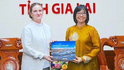 جیا لائی صحت کی دیکھ بھال کے شعبے میں نیوزی لینڈ کے ساتھ تعاون کو بڑھانے کی امید رکھتی ہے۔