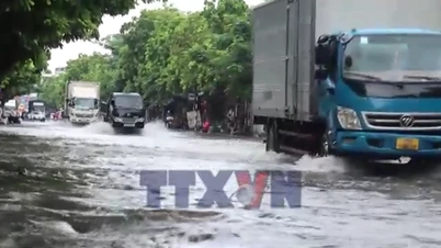 Le forti piogge hanno causato allagamenti localizzati in numerose strade della città di Hai Phong.