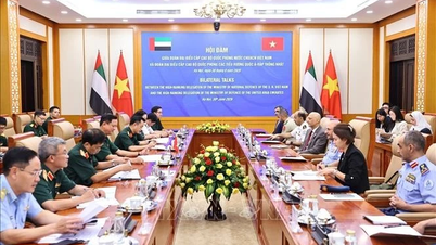Vietnam a Spojené arabské emiráty rozšiřují spolupráci v obranném průmyslu.