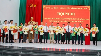 Bac Ninh: Da Mai-distriktet omorganiseres fra 45 bogrupper til 19 bogrupper.